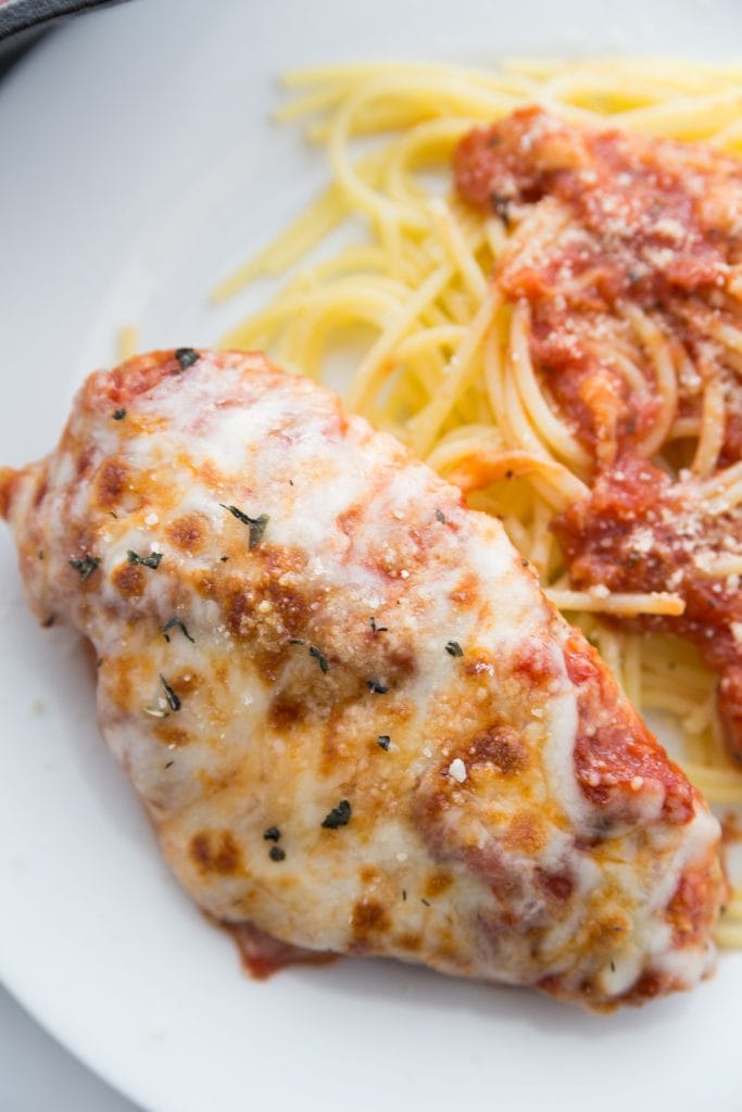 White Plate with Italian Chicken, Melted Cheese, Sauce and Spaghetti 