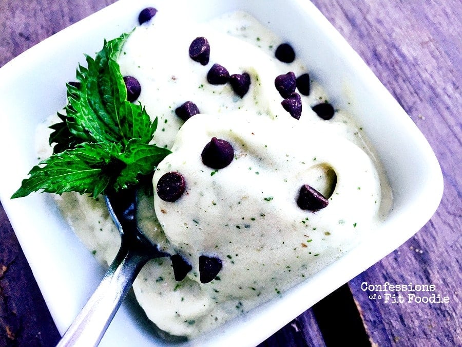 21 Day Fix Mint Chip Ice Cream