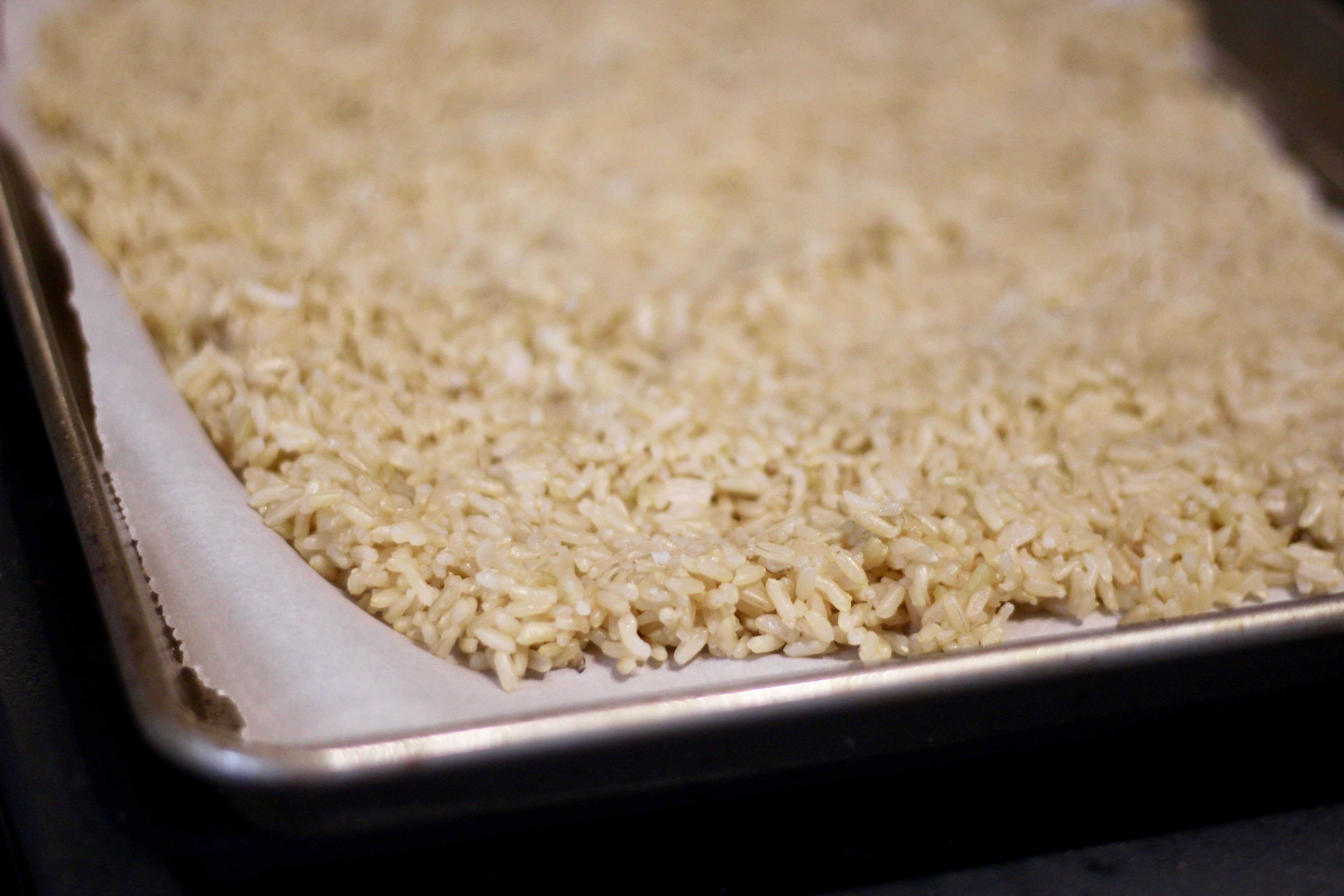 Metal sheet pan lined with parchment paper with cooked brown rice cooling for the freezer