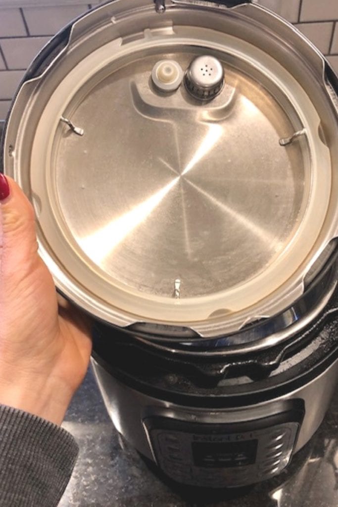 The inside of an instant pot lid, showing the sealing ring 