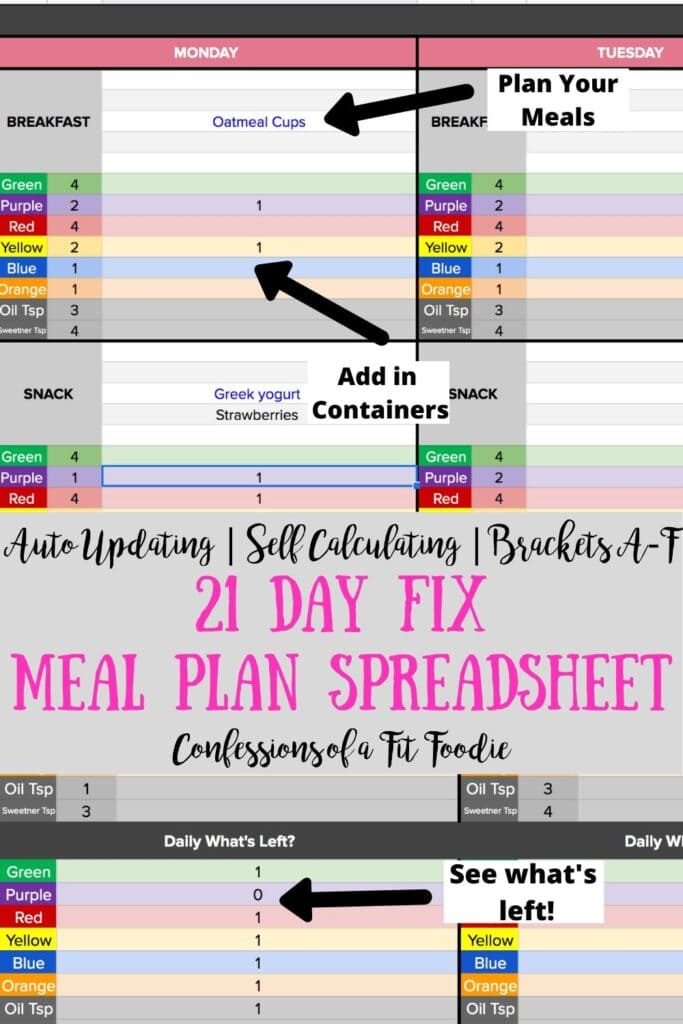 21 Day Fix Container Guide