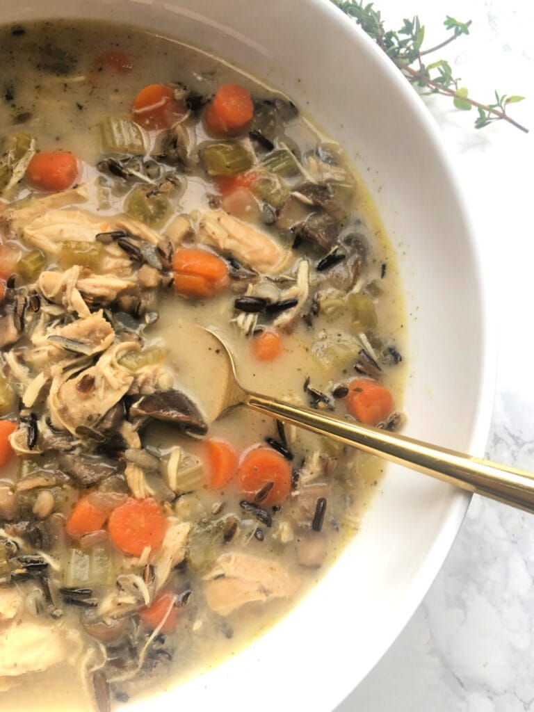 Chicken and rice soup ninja online foodi