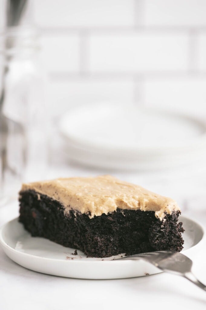 Side view of one slice of chocolate cake with peanut butter frosting on a white plate.