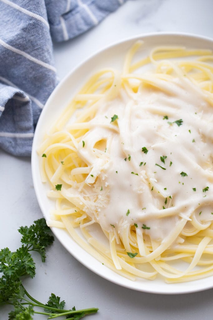 A white plate of fettuccine topped with Alfredo sauce and parmesan cheese. 