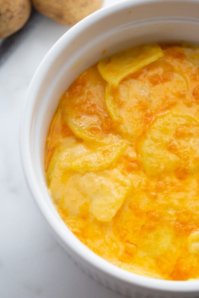 A close up image reveals cooked cheddar cheese on top of freshly baked scalloped potatoes.