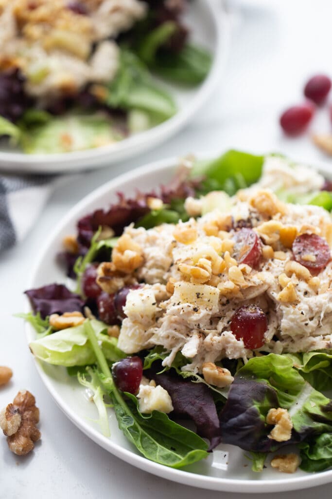 Chicken salad with grapes over greens, on a white plate