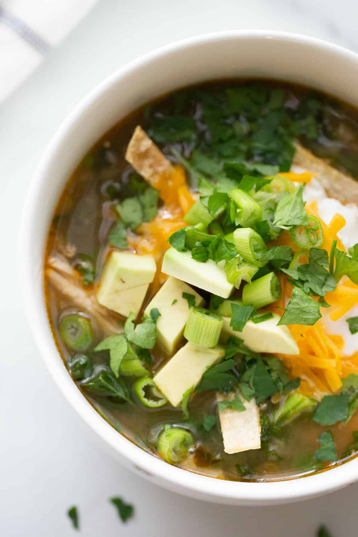 Salsa Verde Soup topped with cilantro, green onion, avocado, cheese, Greek yogurt, and homemade tortilla strips.