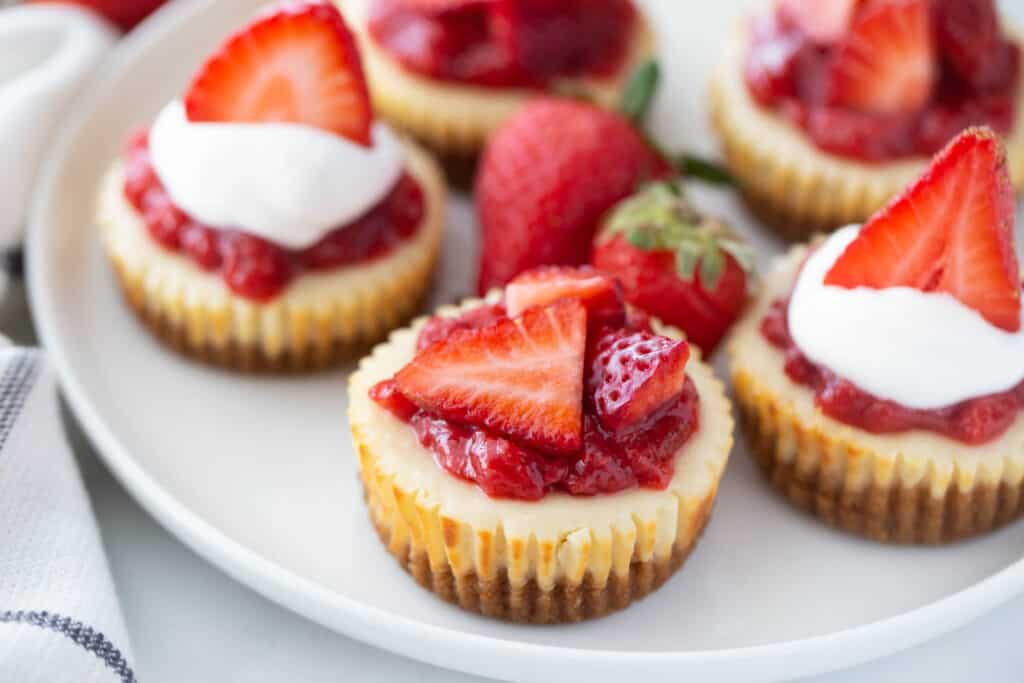 High angle photo of a white plate full of mini cheese cakes. Some have only strawberries on top, while others have strawberry topping and whipped topping.