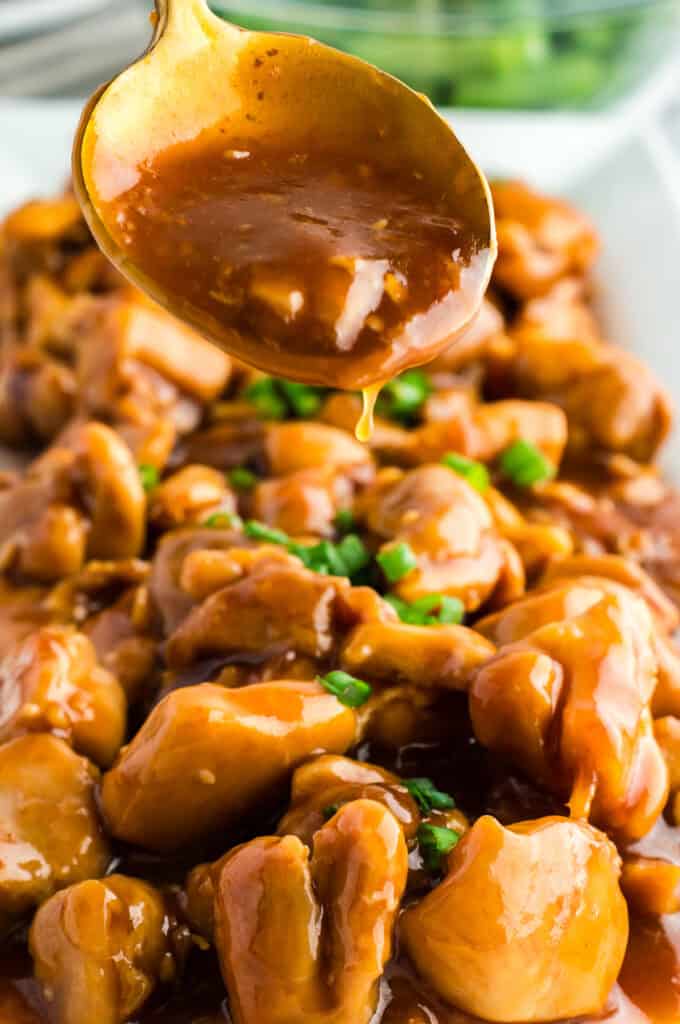 Tender pieces of chicken smothered in a homemade bourbon sauce and garnished with green onions.