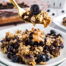 A serving of zucchini blueberry baked oatmeal on a white plate, garnished with fresh blueberries and a gold fork.